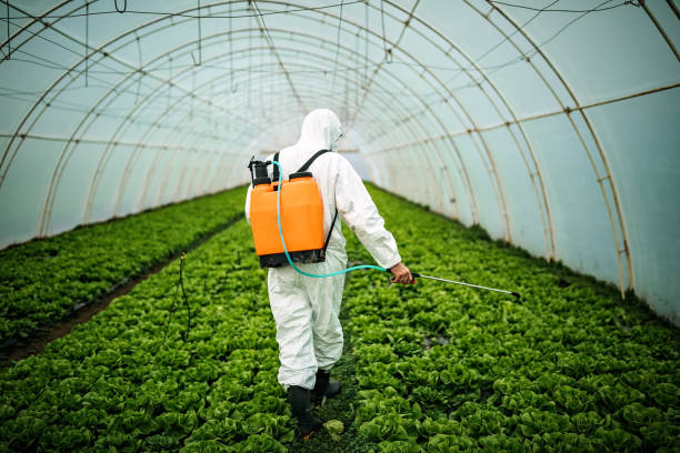 Best Emergency Pest Control  in Clearlake Riviera, CA