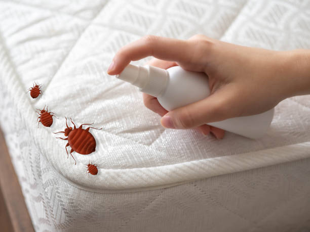 Best Pest Control for Businesses  in Clearlake Riviera, CA